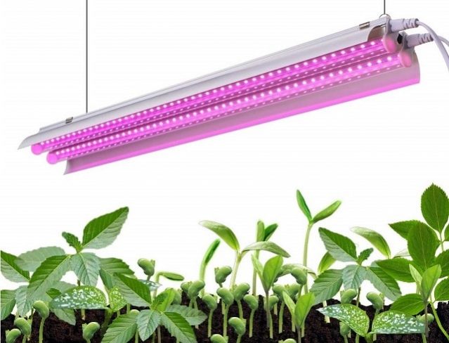 LED grow lights benefits