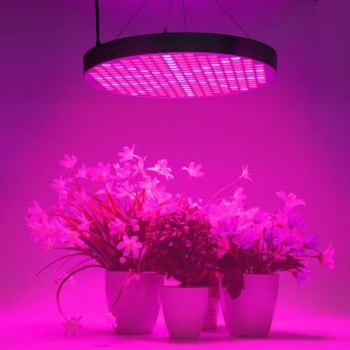 round LED grow light 50w, LED grow lights manufacturer