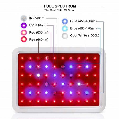 full spectrum LED grow light 600w/1000w