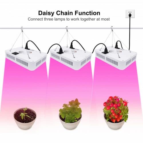 full spectrum LED grow light 600w/1000w