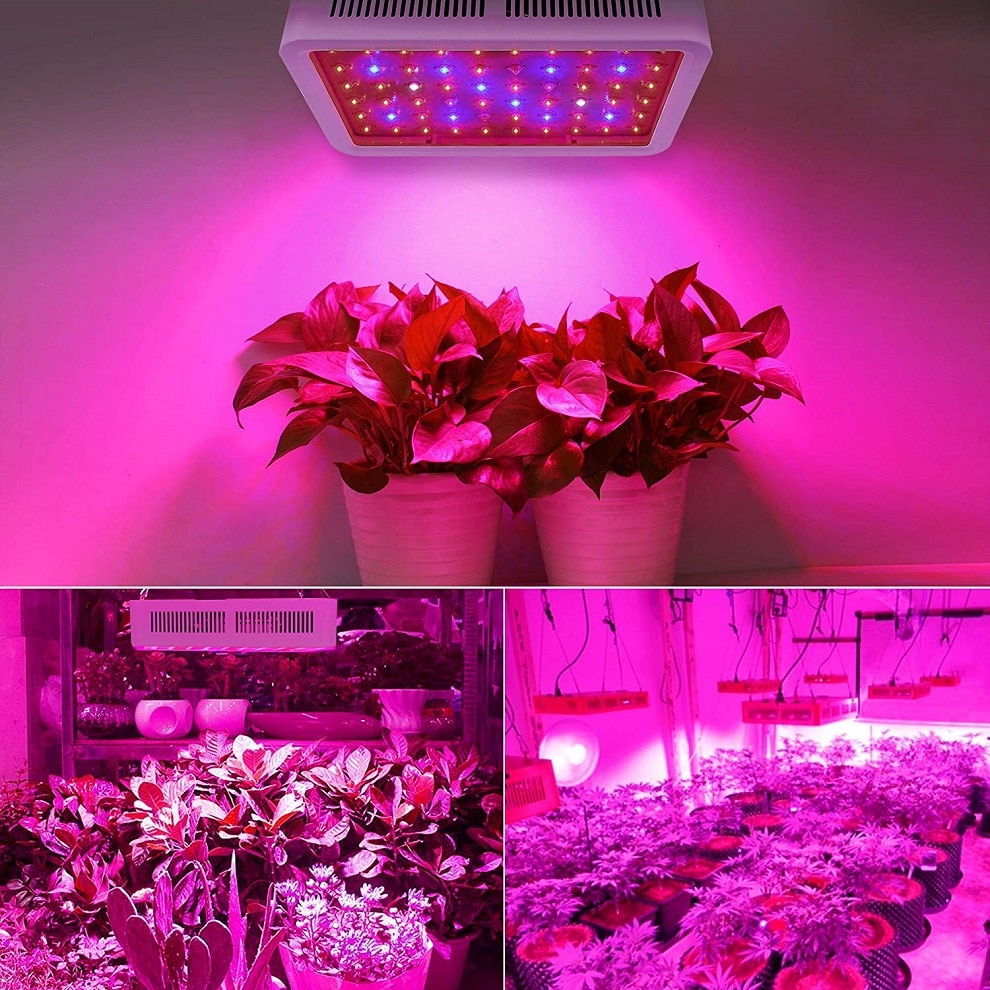 Details about   600W/1000W LED Grow Light Panel Full Spectrum Hydroponics Plant Indoor Blooming 