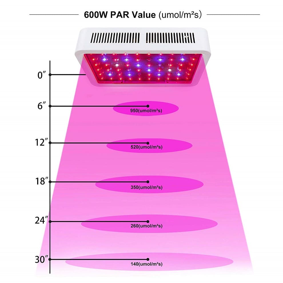 full spectrum LED grow light 600w/1000w